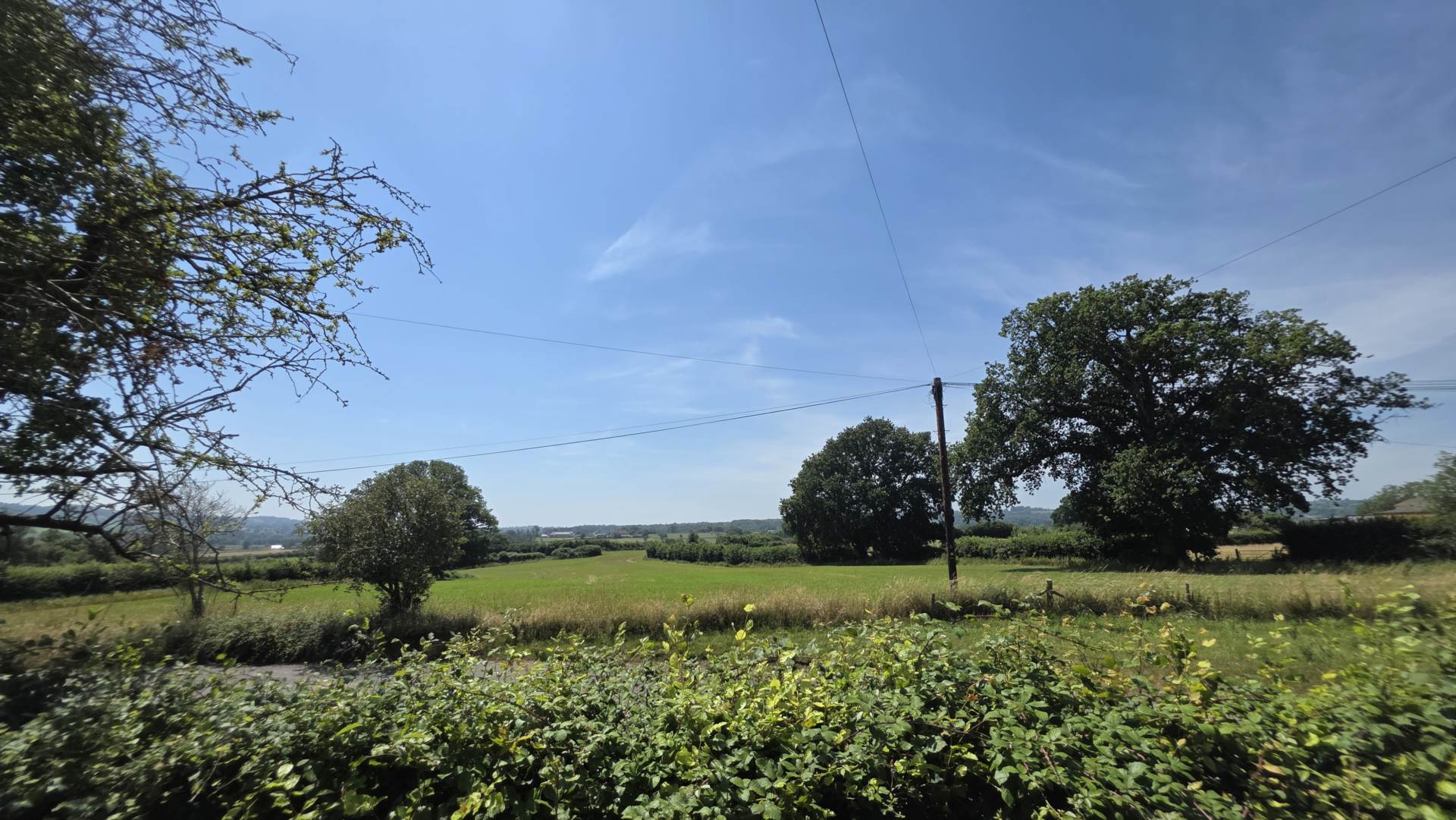 Donyatt Hill, Donyatt, Image 15