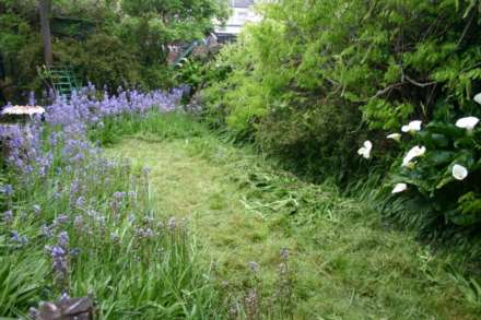 Lisvane Street, Cathays, Cardiff, Image 12