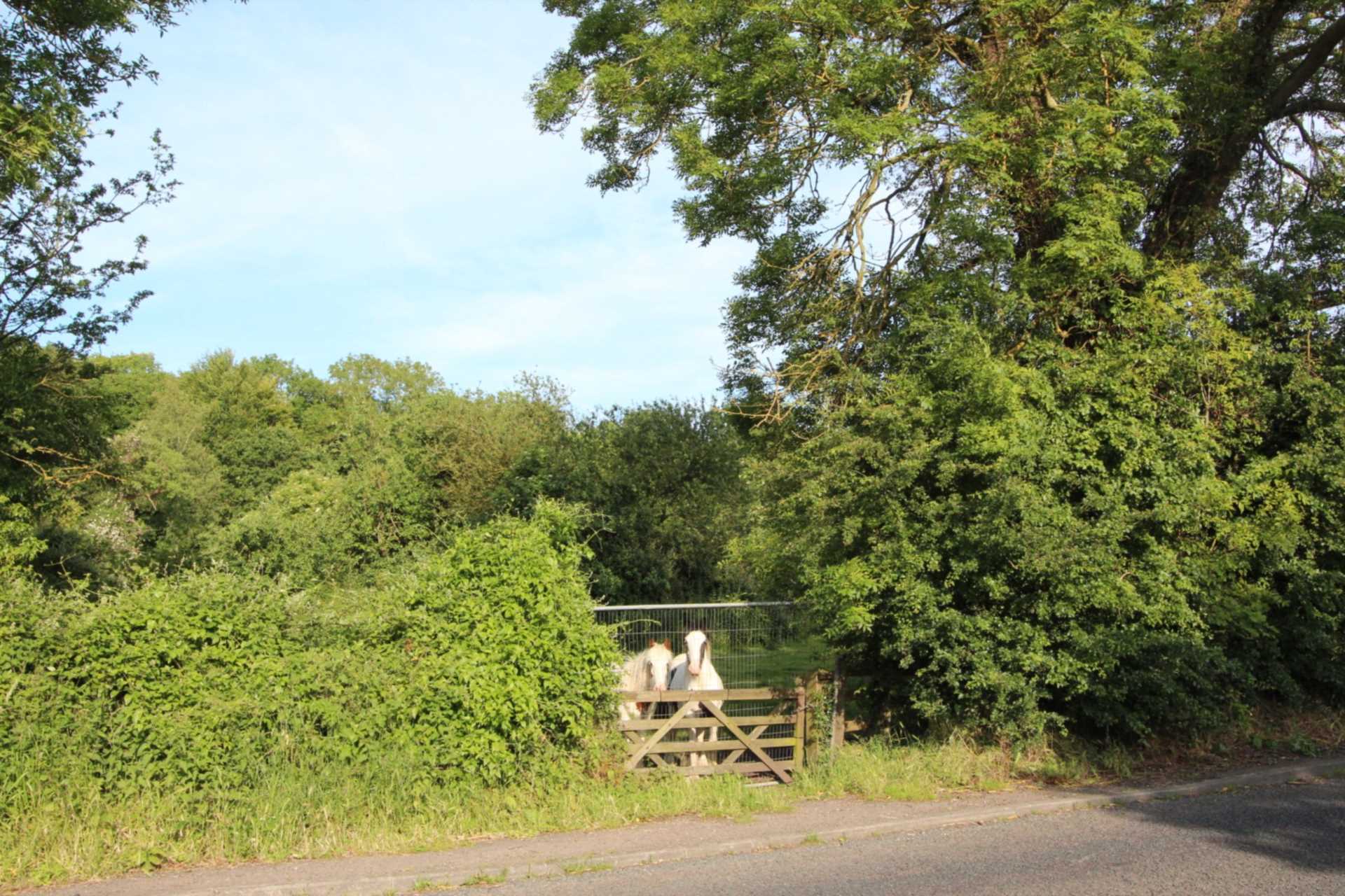 Upper Wells, Brookthorpe, Image 3