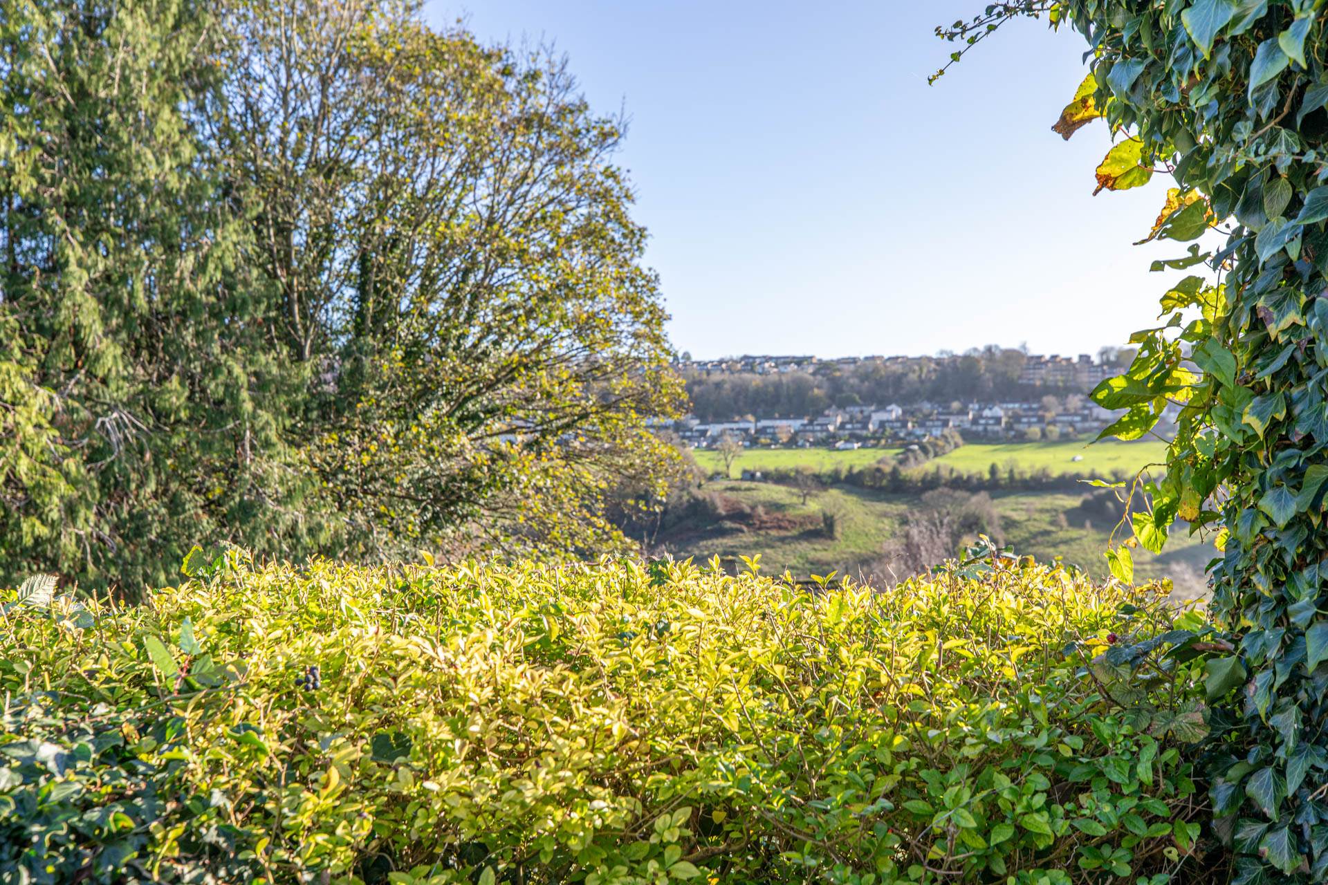 Shepherds Close, Uplands, Image 14