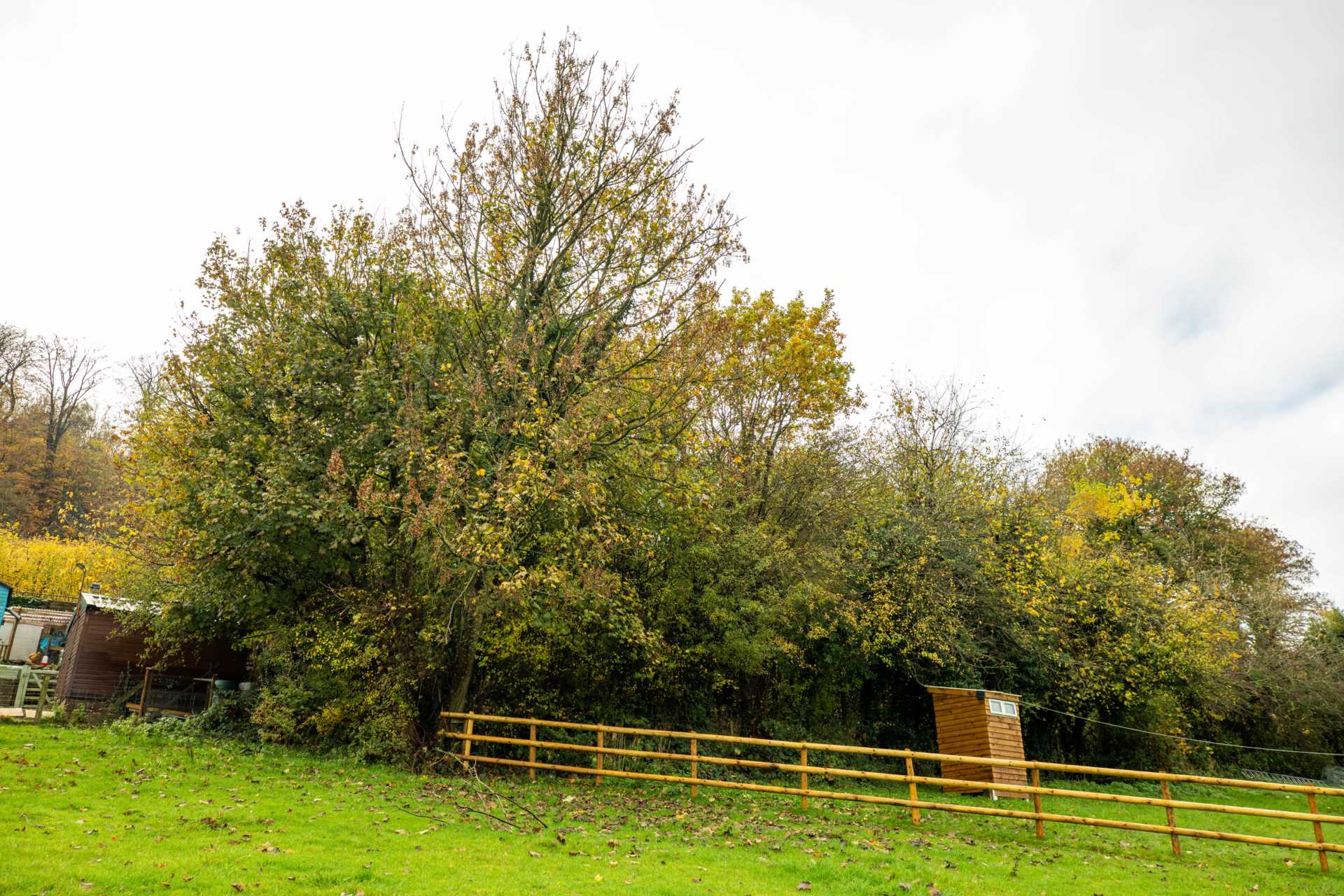 Rodborough Lane, Butterow West, Stroud, Image 3