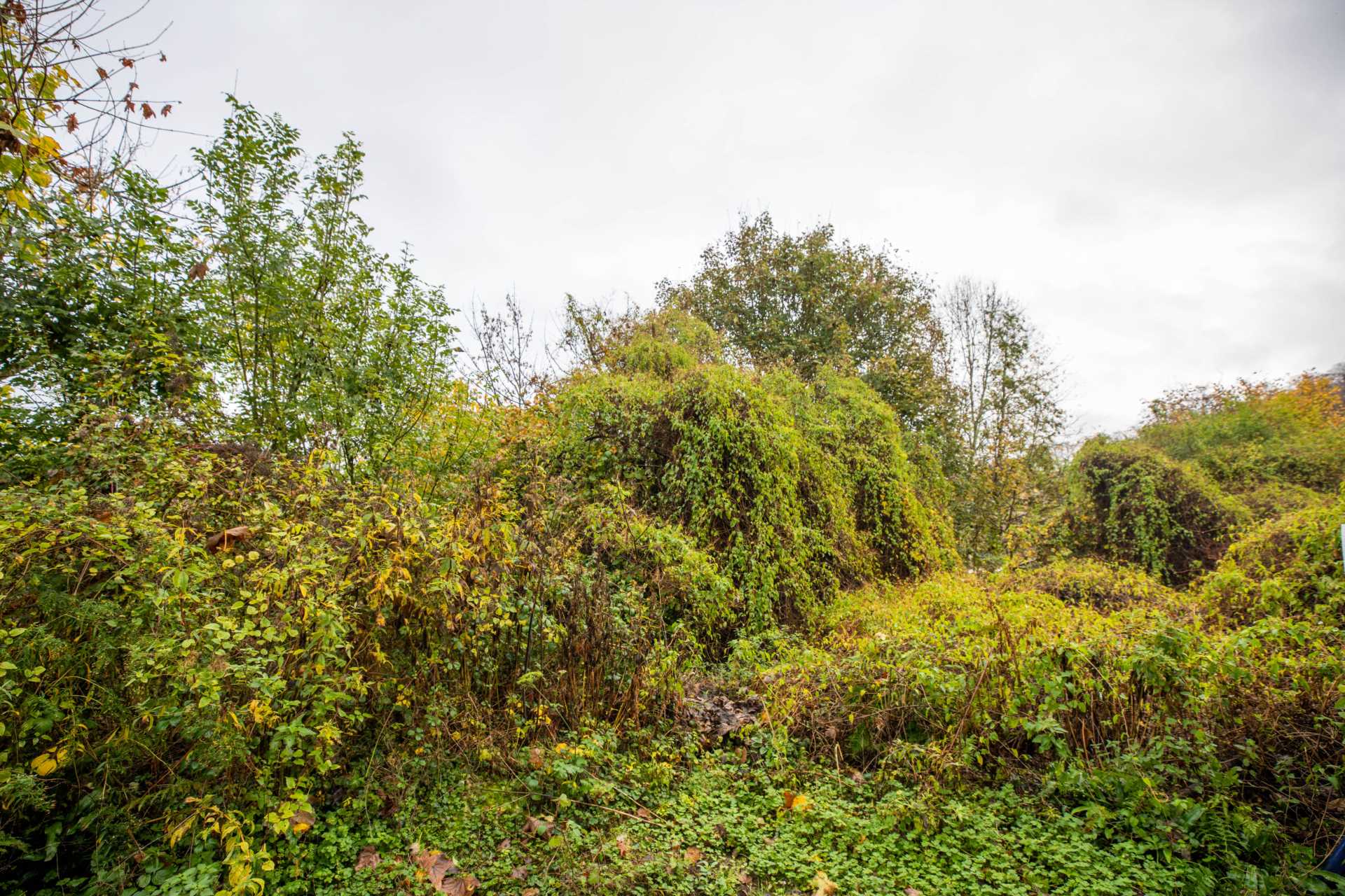 Rodborough Lane, Butterow West, Stroud, Image 4