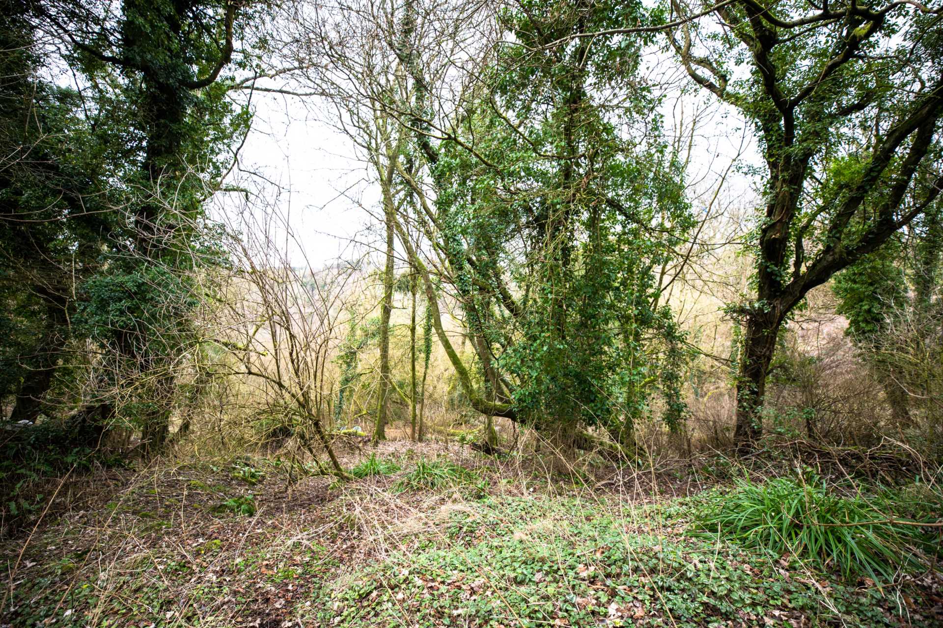 Wells Road, Eastcombe, Image 6