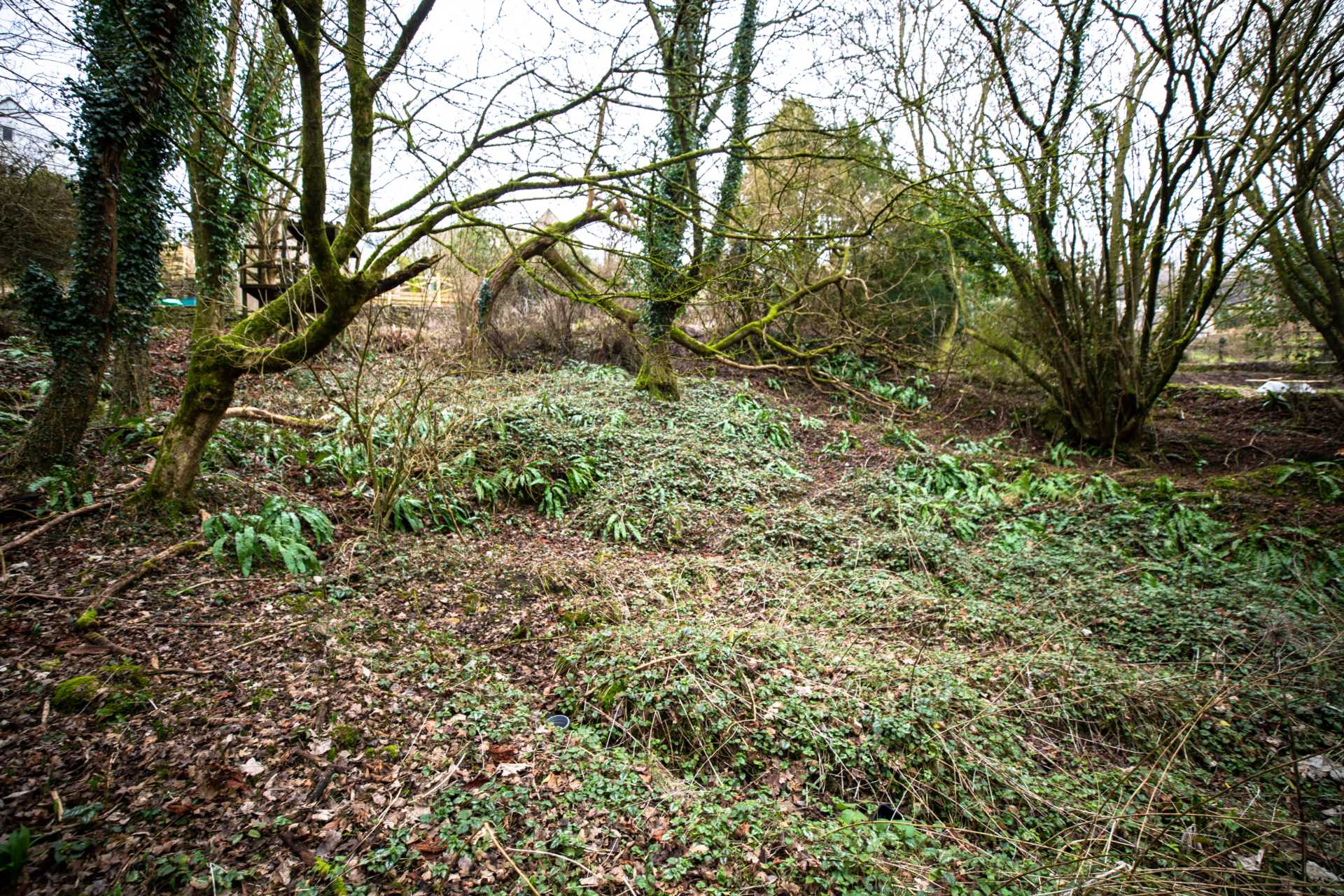 Wells Road, Eastcombe, Image 7