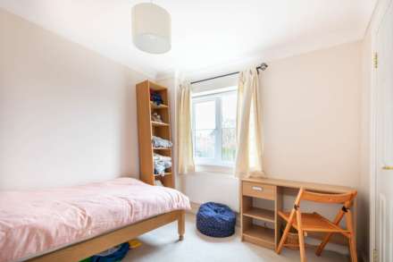 Home Orchard, Ebley, Stroud, Image 14