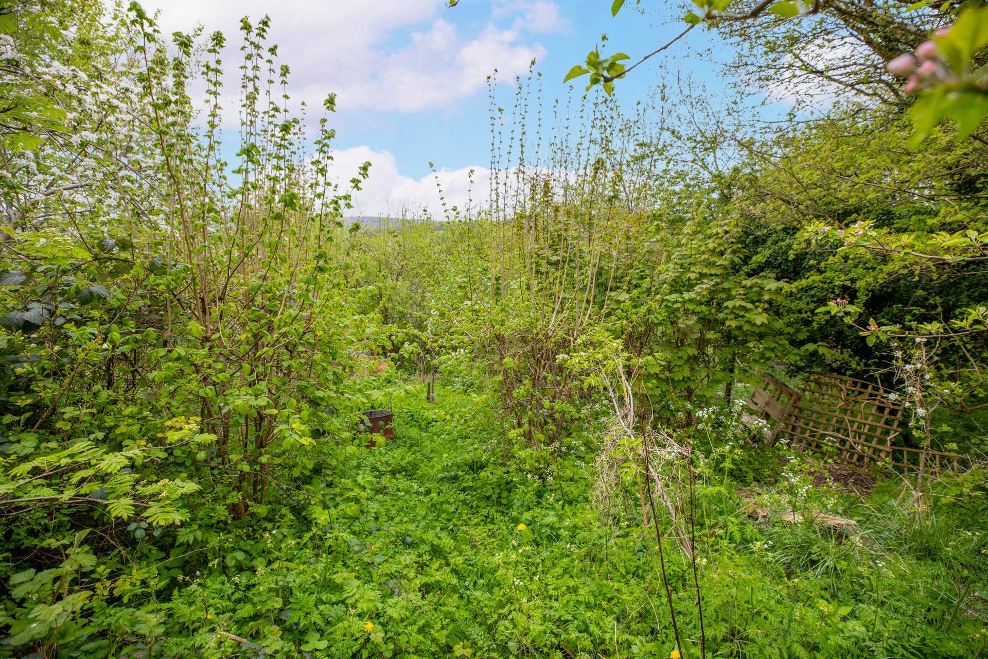 Summer Street, Stroud, Image 16