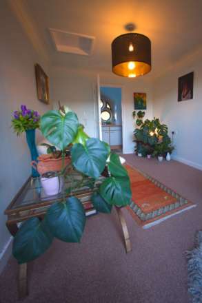 St Matthews Court, Cainscross, Image 13