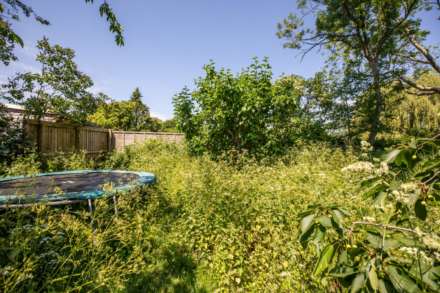 Passage Road, Saul, Image 34