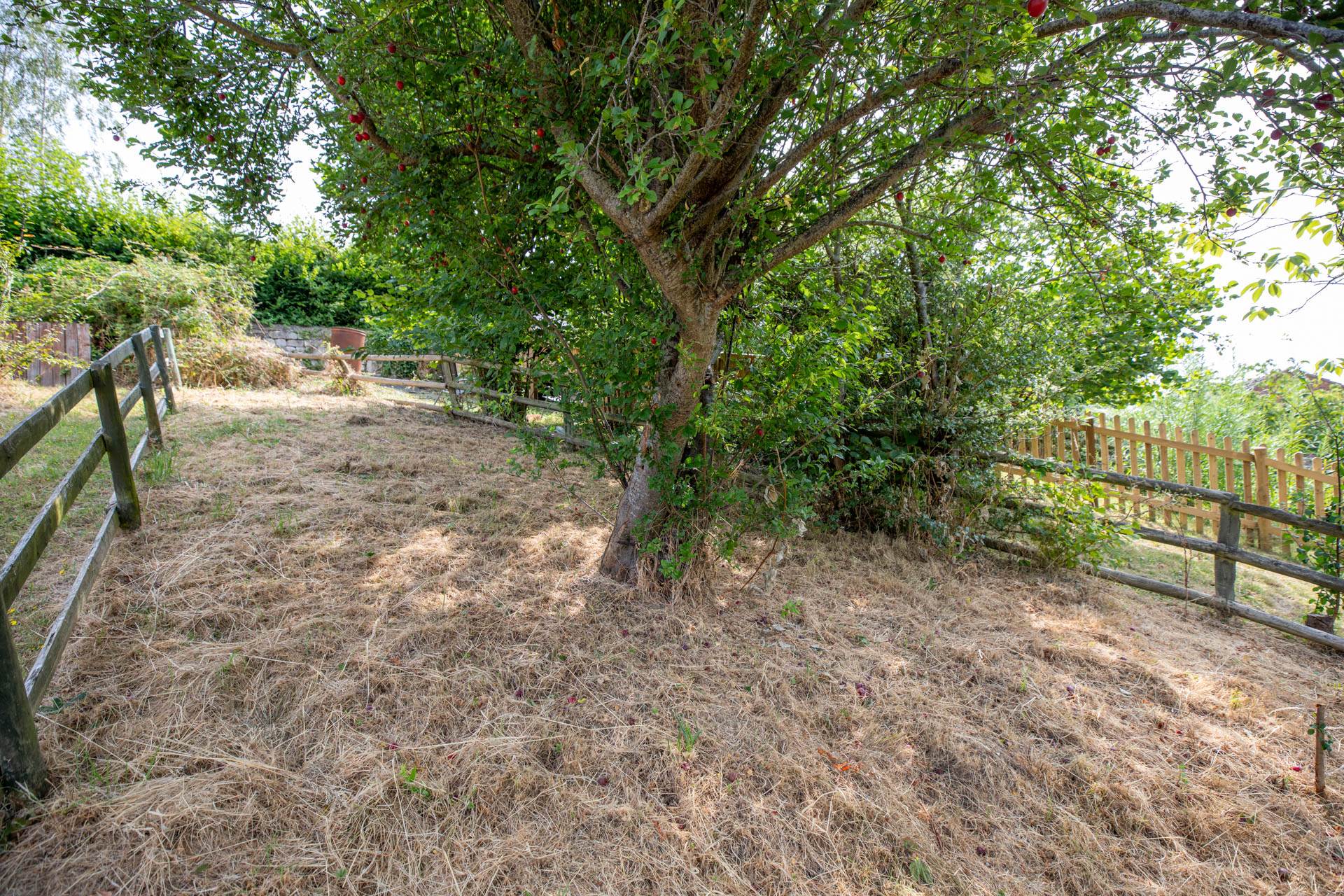 Wheelers Walk, Paganhill, Stroud, Image 19