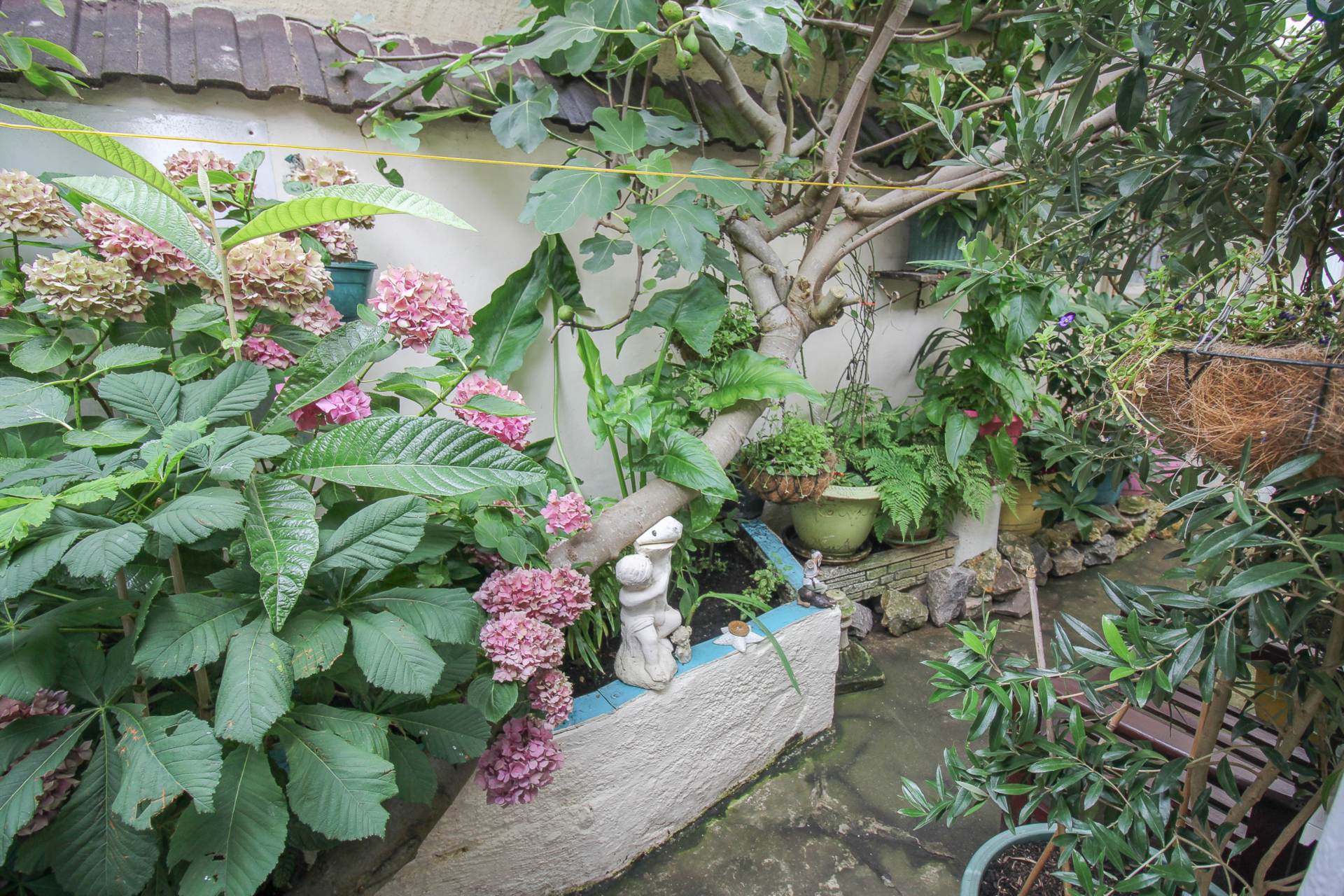 Meadow Street, Weston-super-Mare, Image 11