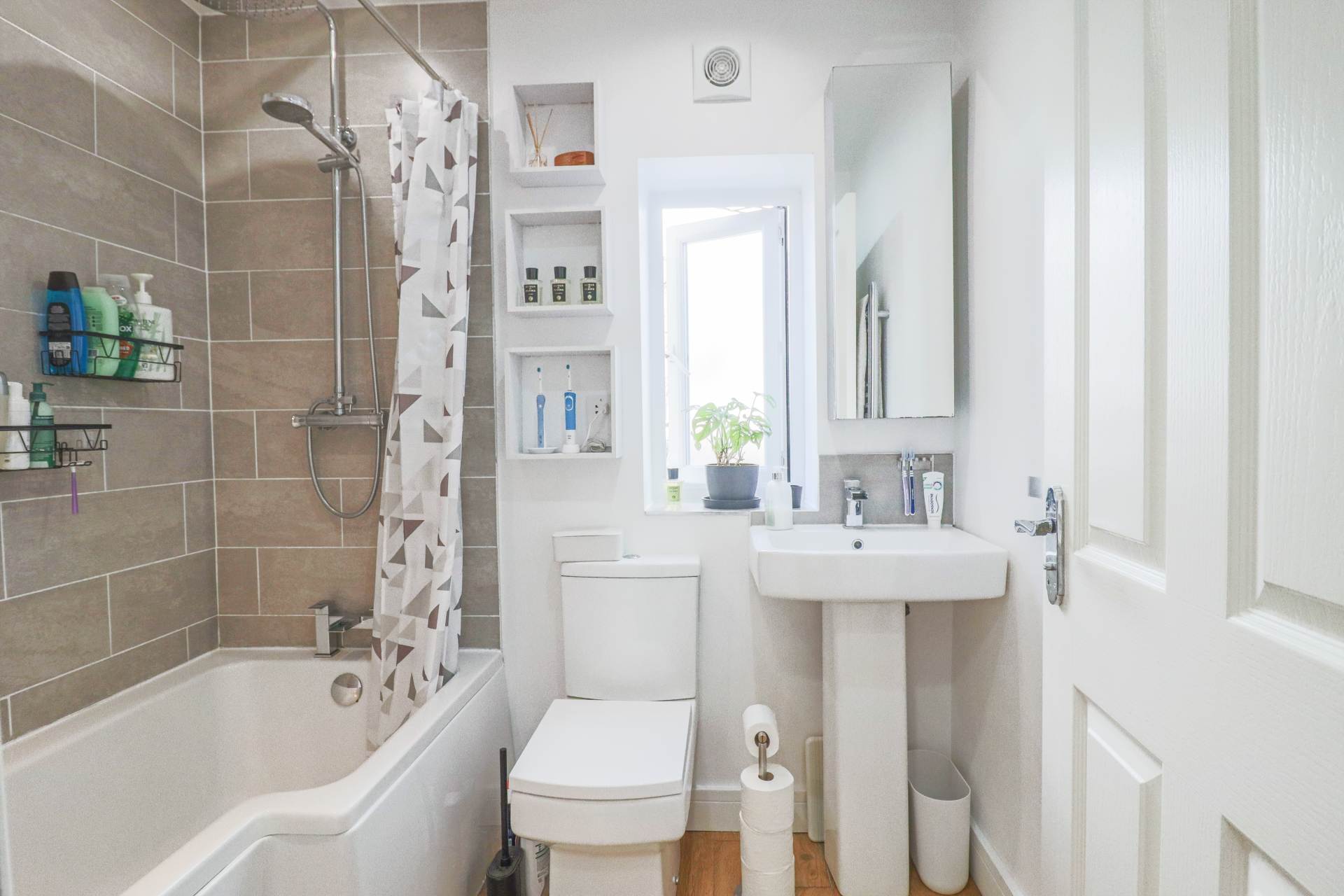Alma Street, True Hidden Gem, Image 15