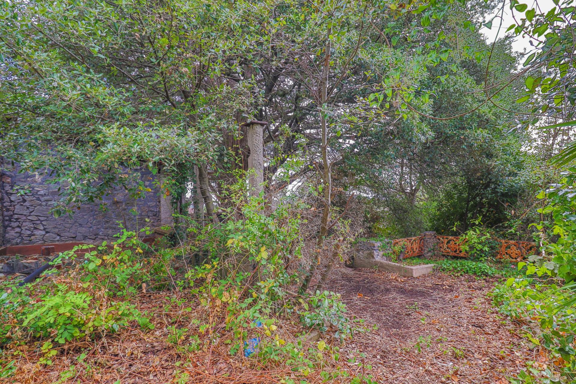 Elmhyrst Road - Impressive 0.25 Acre Plot - Endless Potential, Image 31