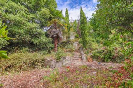Elmhyrst Road - Impressive 0.25 Acre Plot - Endless Potential, Image 30