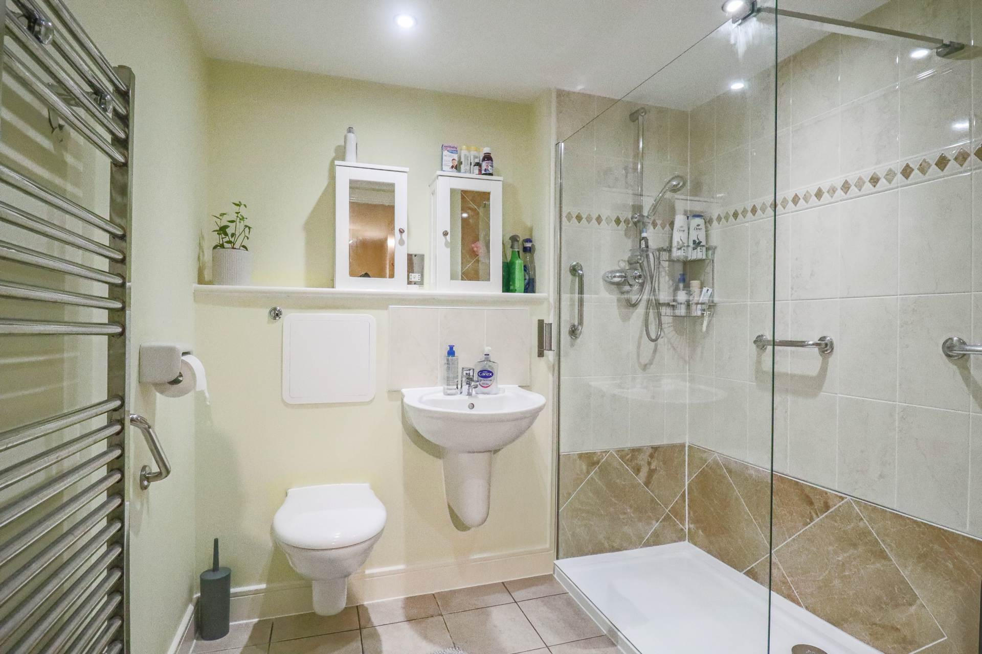 The Theatre, Knightstone Island, Image 9