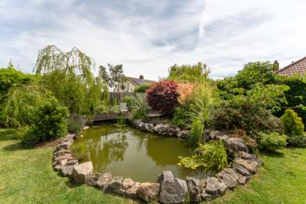 Baytree Road, Milton - Hidden Gem Of A Home, Image 28