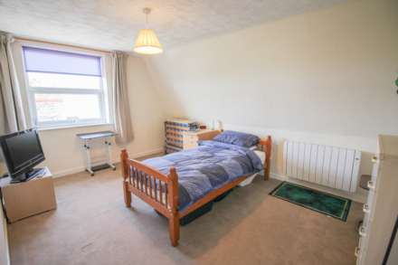Hillside*Panoramic Views*Very Spacious*Garage/Parking*, Image 11