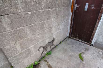 **Central Location**Updating Required**Excellent Investment Opportunity**, Image 15
