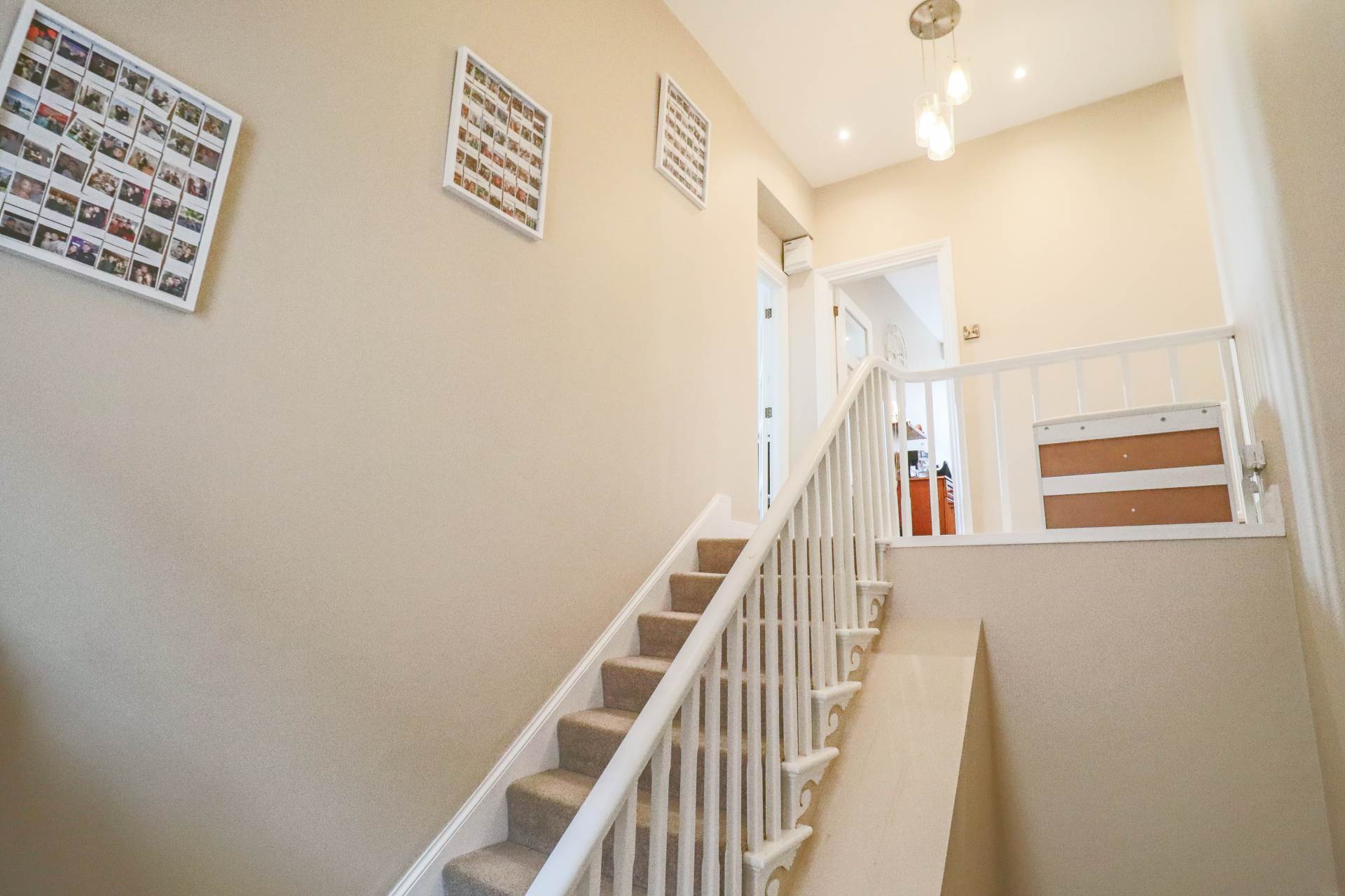 Southside, Hillside - Restored Victorian Flat With Views, Image 17