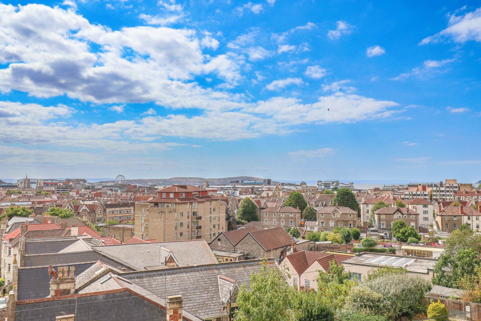 Southside, Hillside - Restored Victorian Flat With Views, Image 5