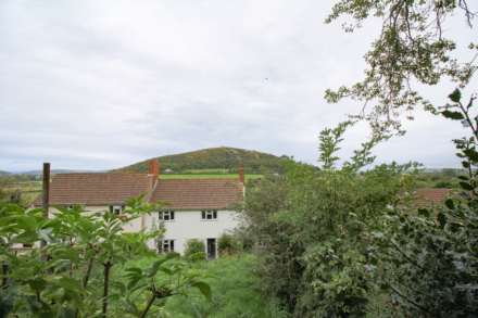 **Loxton**Beautifully Presented**150' Garden with Studio**3 Bedrooms**Open Plan Kit/Dining/Living Room**, Image 1