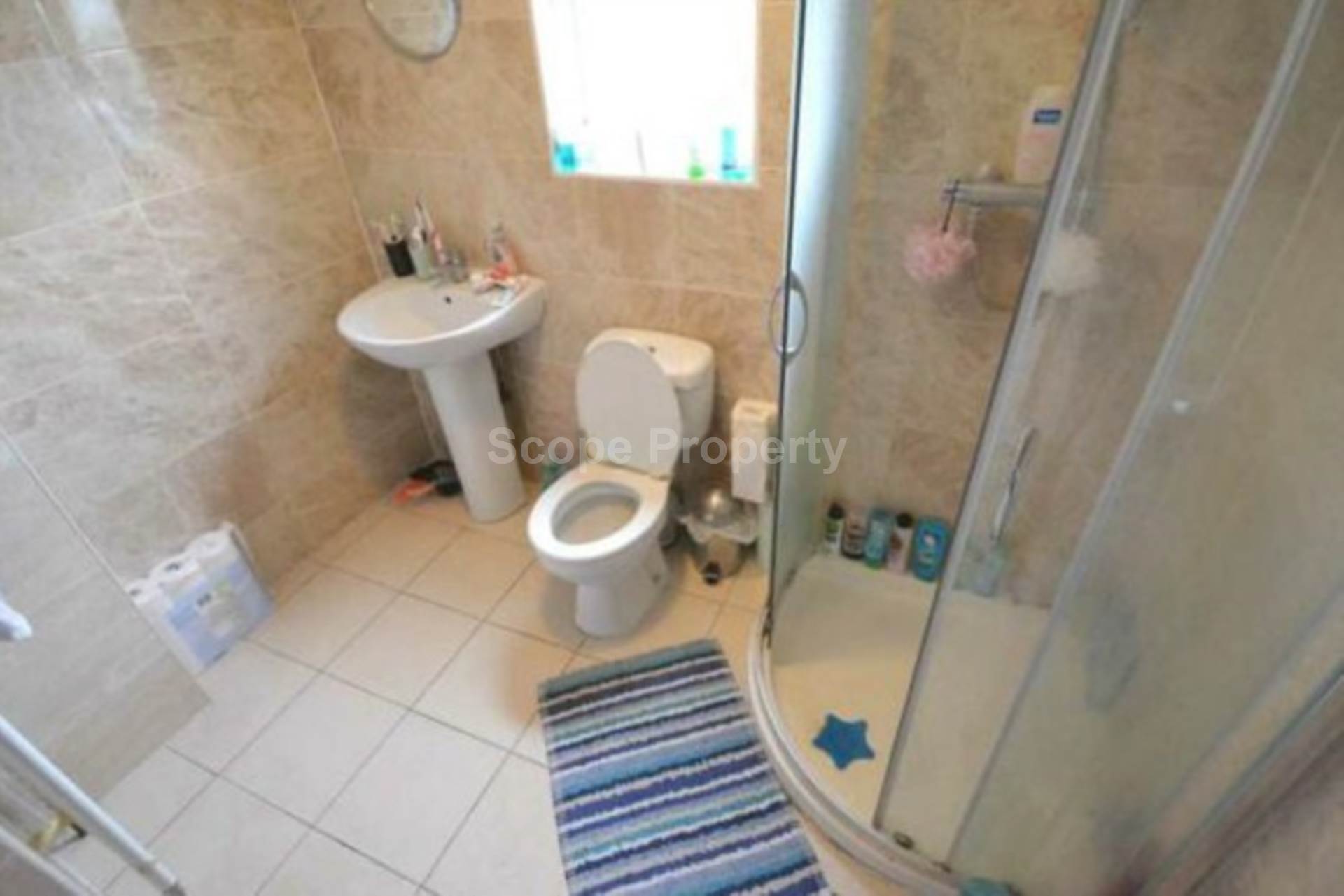 Blenheim Road, Reading, Image 14