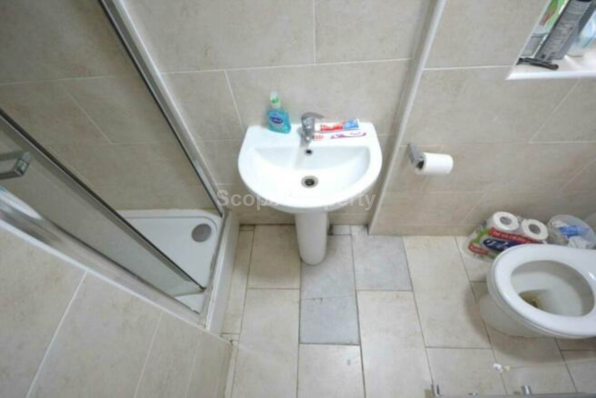 Blenheim Road, Reading, Image 9