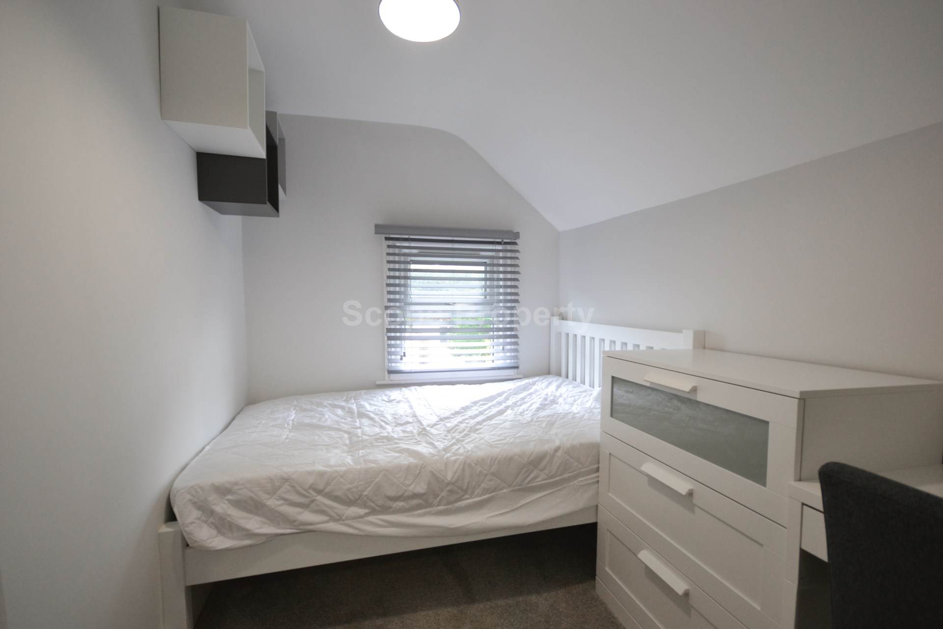 Cardigan Road, Reading, Image 9