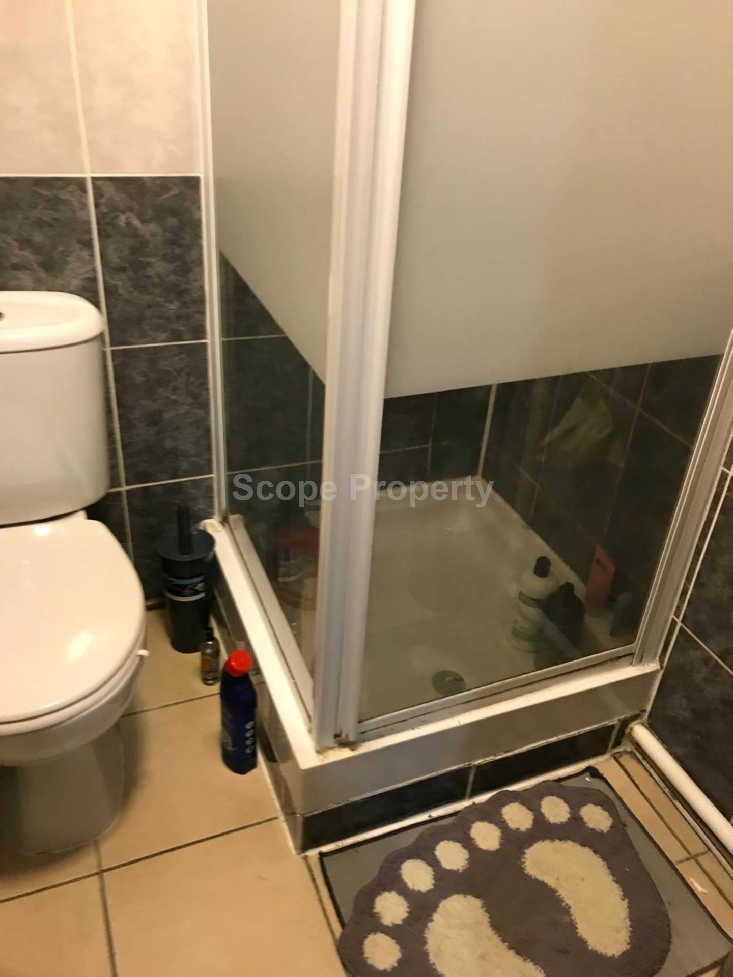 Grange Avenue, Reading, Image 8