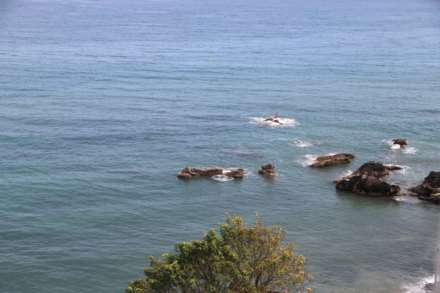 Marine Drive, Looe, Image 17