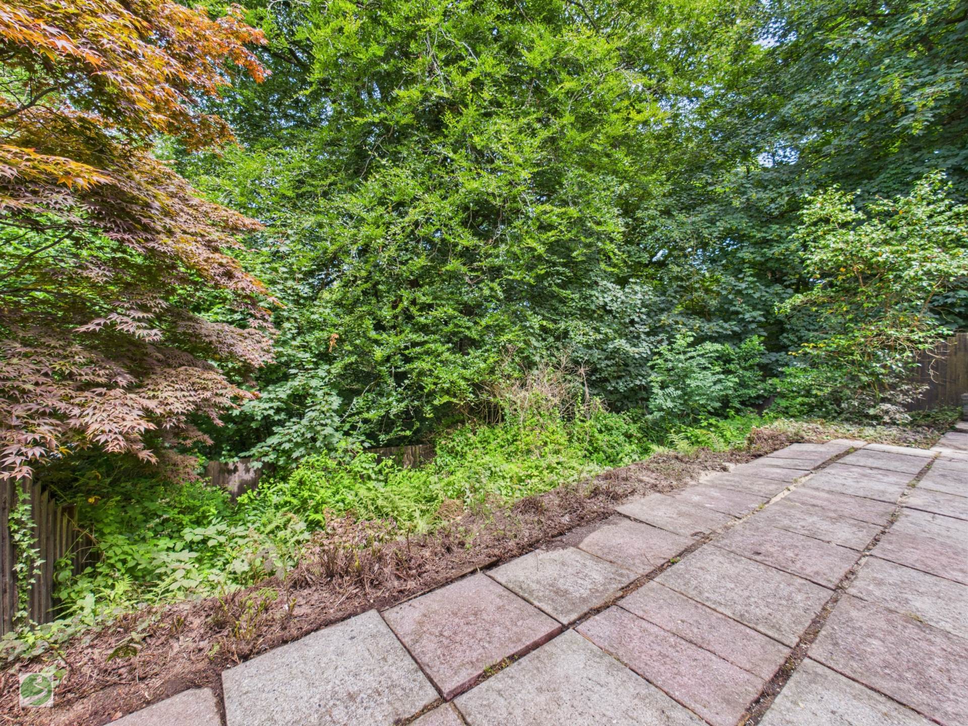 Woodlands View, West Looe, Image 18