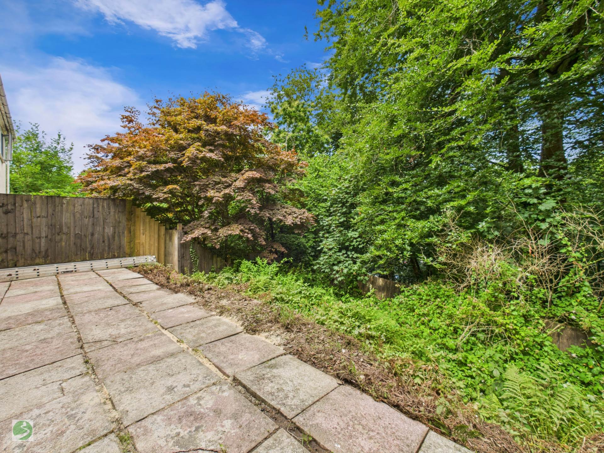 Woodlands View, West Looe, Image 5