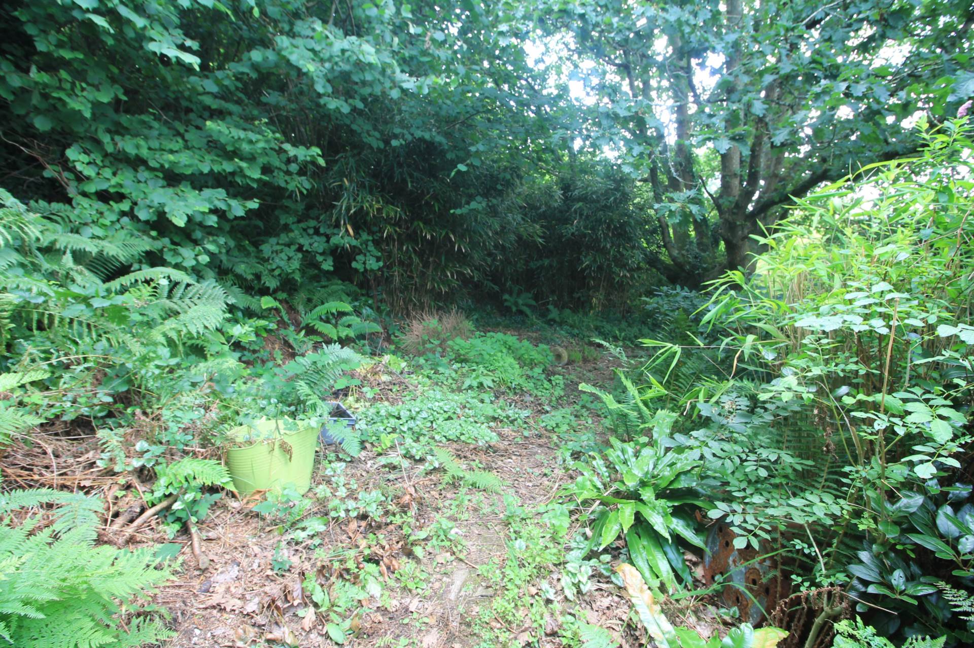Downs View, West Looe, Image 16