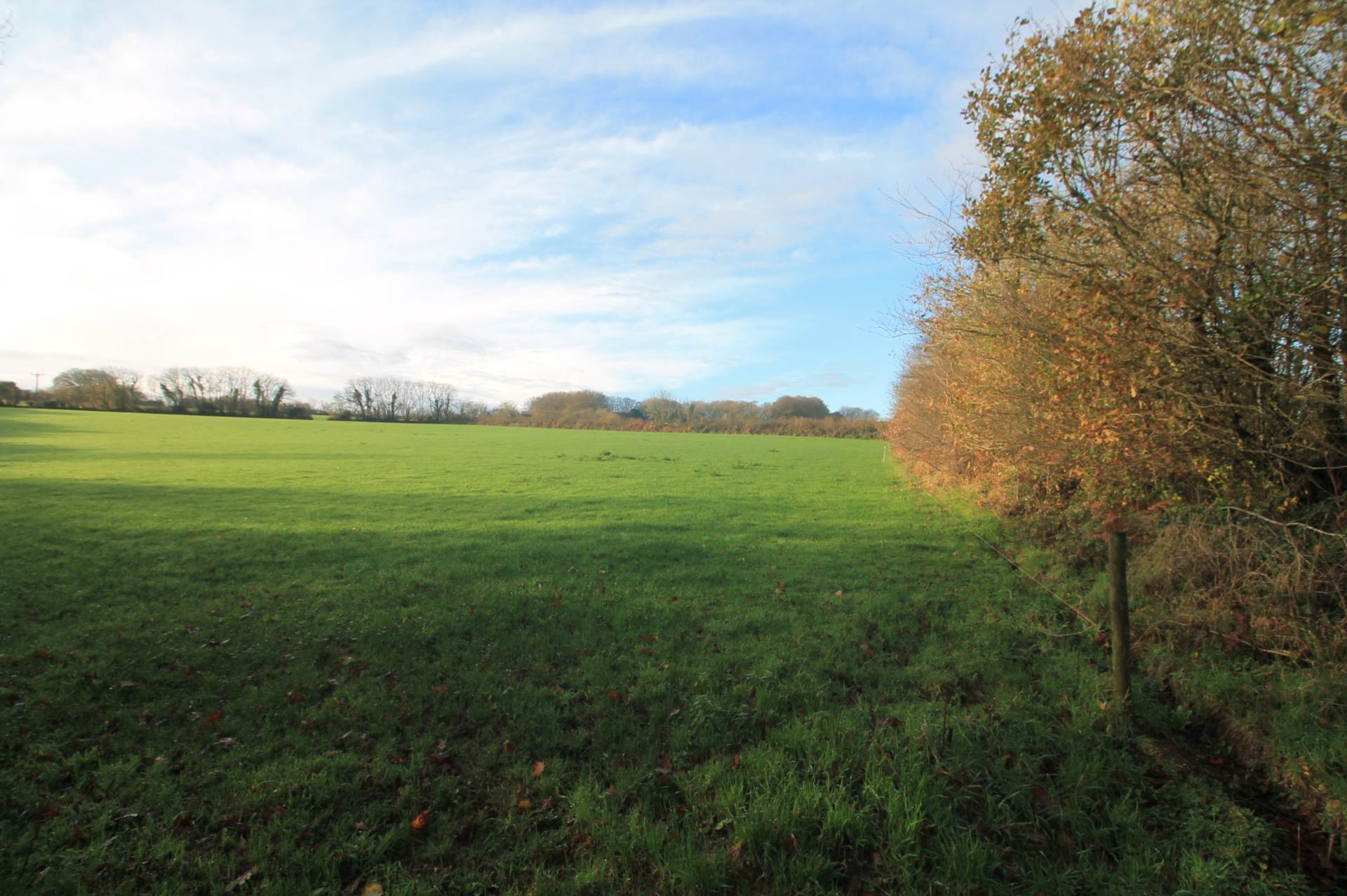 Near St Pinnock, Image 3