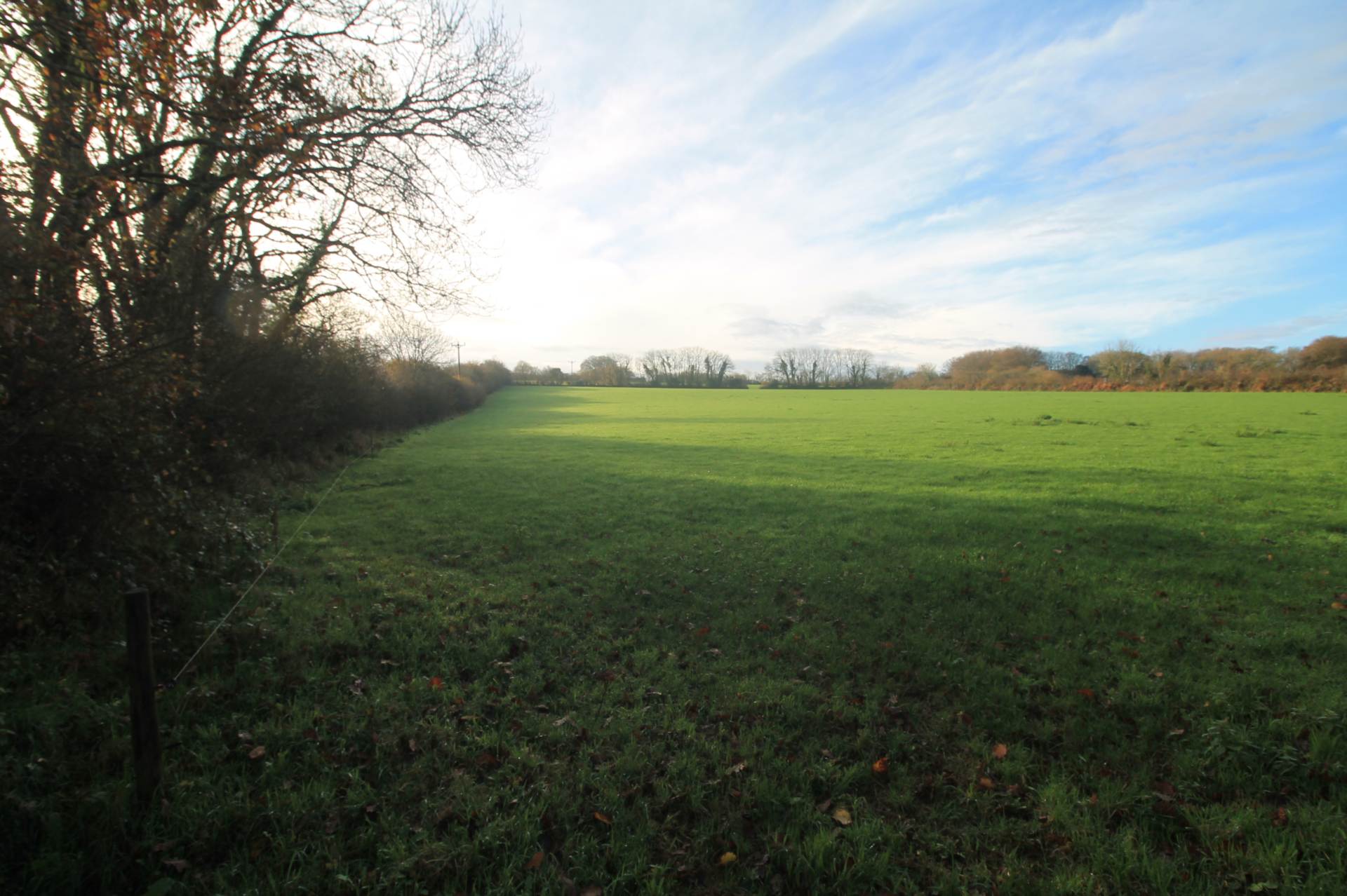 Near St Pinnock, Image 4