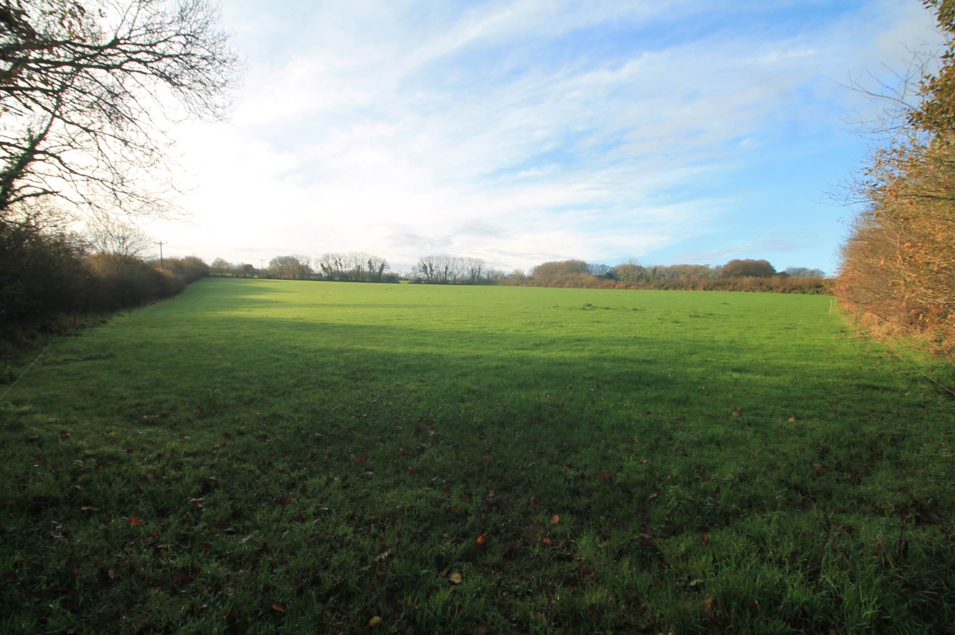 Near St Pinnock, Image 5