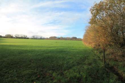 Near St Pinnock, Image 3