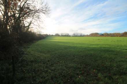 Near St Pinnock, Image 4