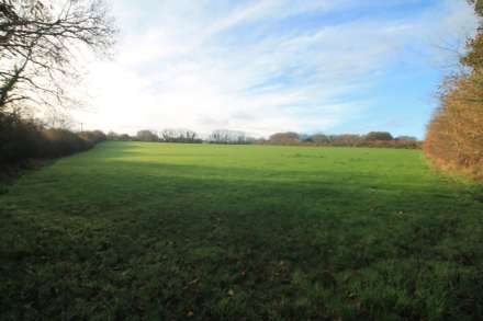 Near St Pinnock, Image 5