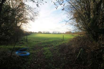 Near St Pinnock, Image 7