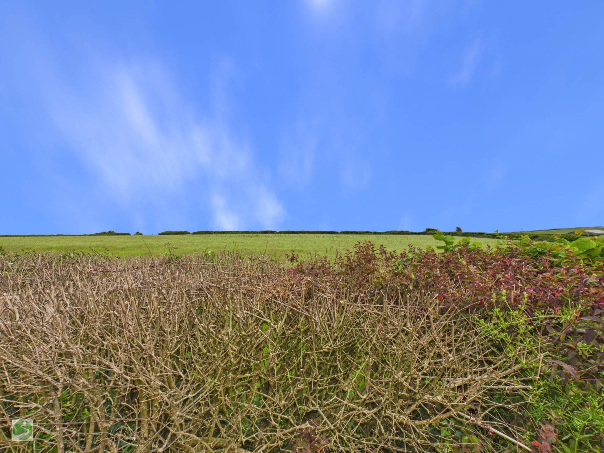 Summerlane Park, Pelynt, Image 11