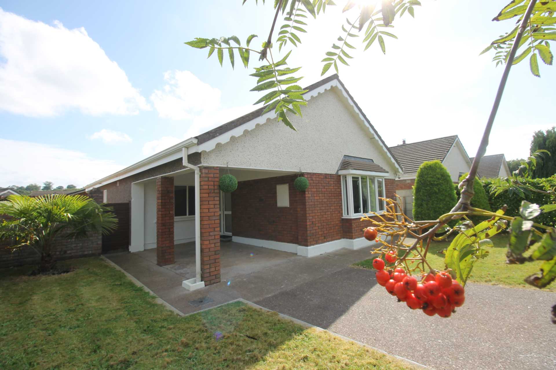 Willison Drive, Blarney