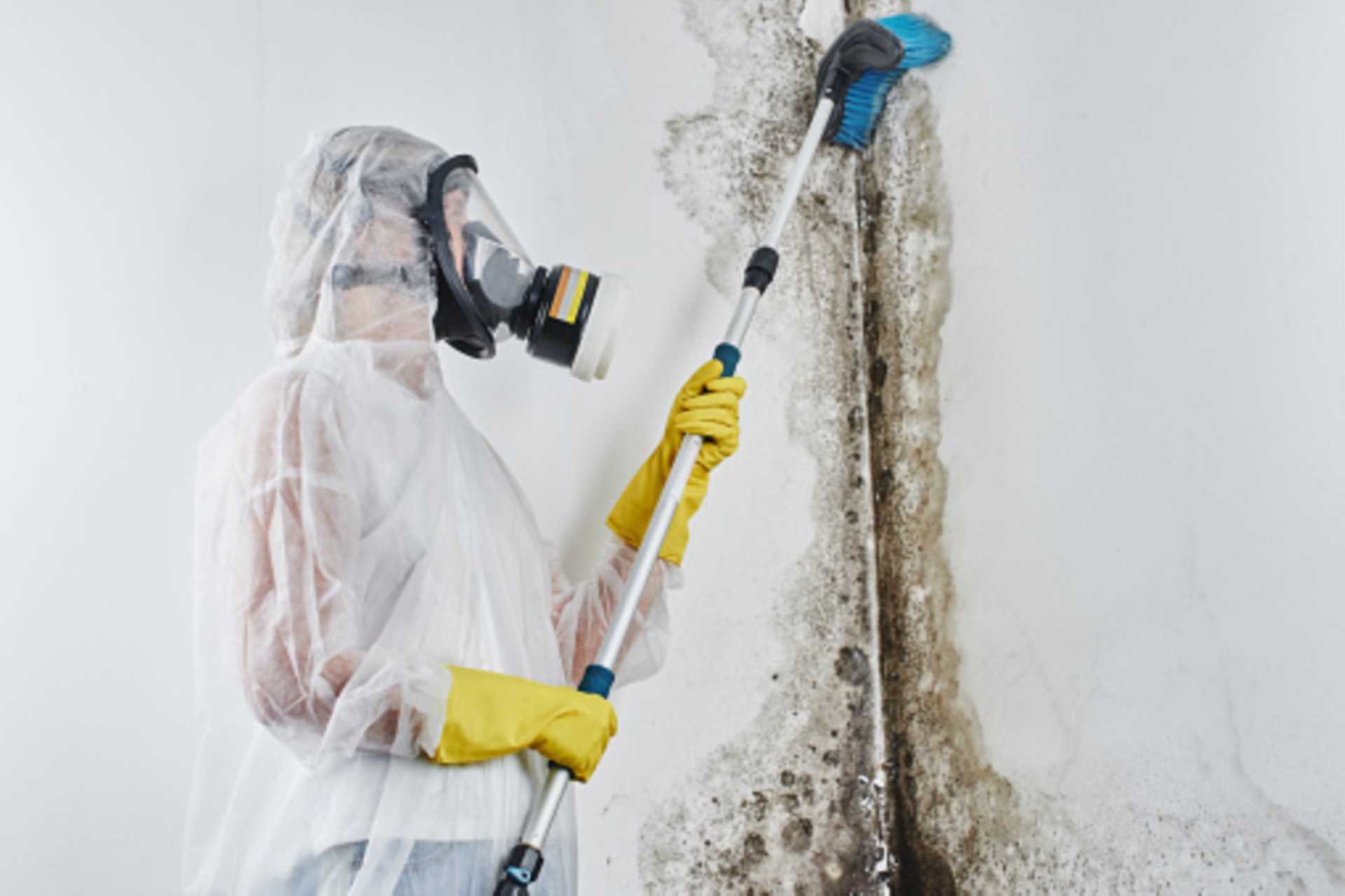 Preventative Measures to Help Reduce the Likelihood of Mould Growth