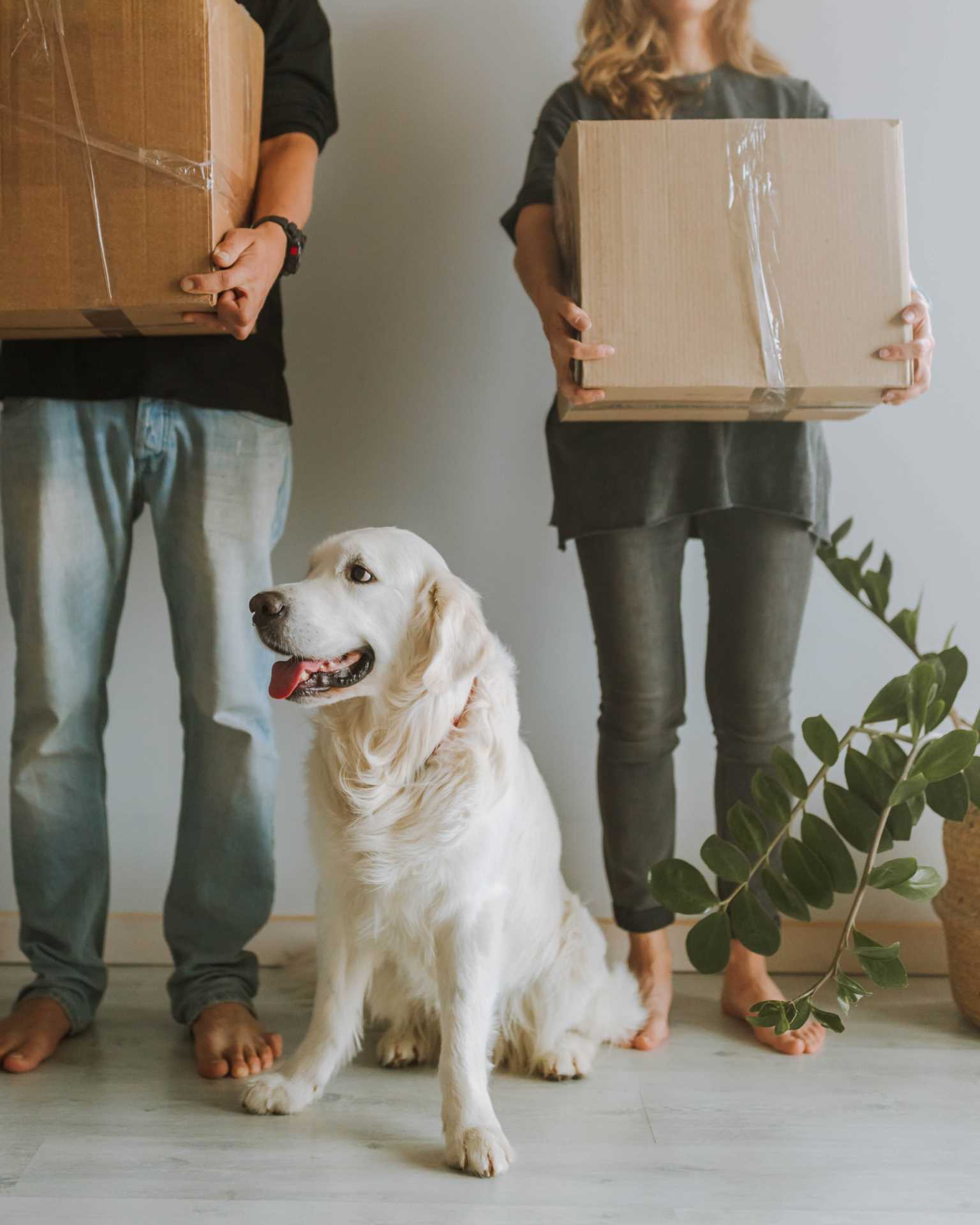 Advice on Choosing a Good Removal Firm in Warwickshire