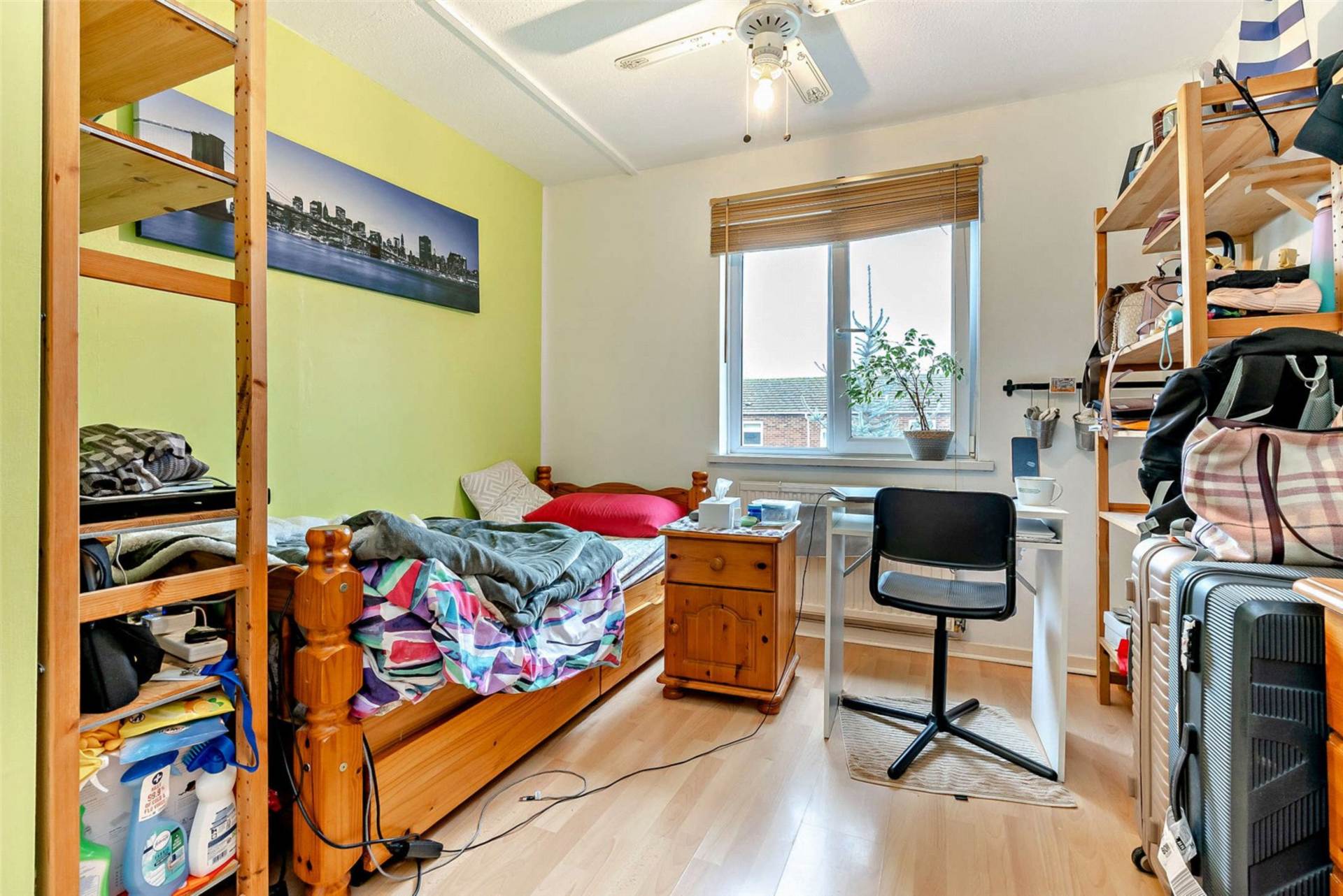 Van Diemans, Oxford, Image 15