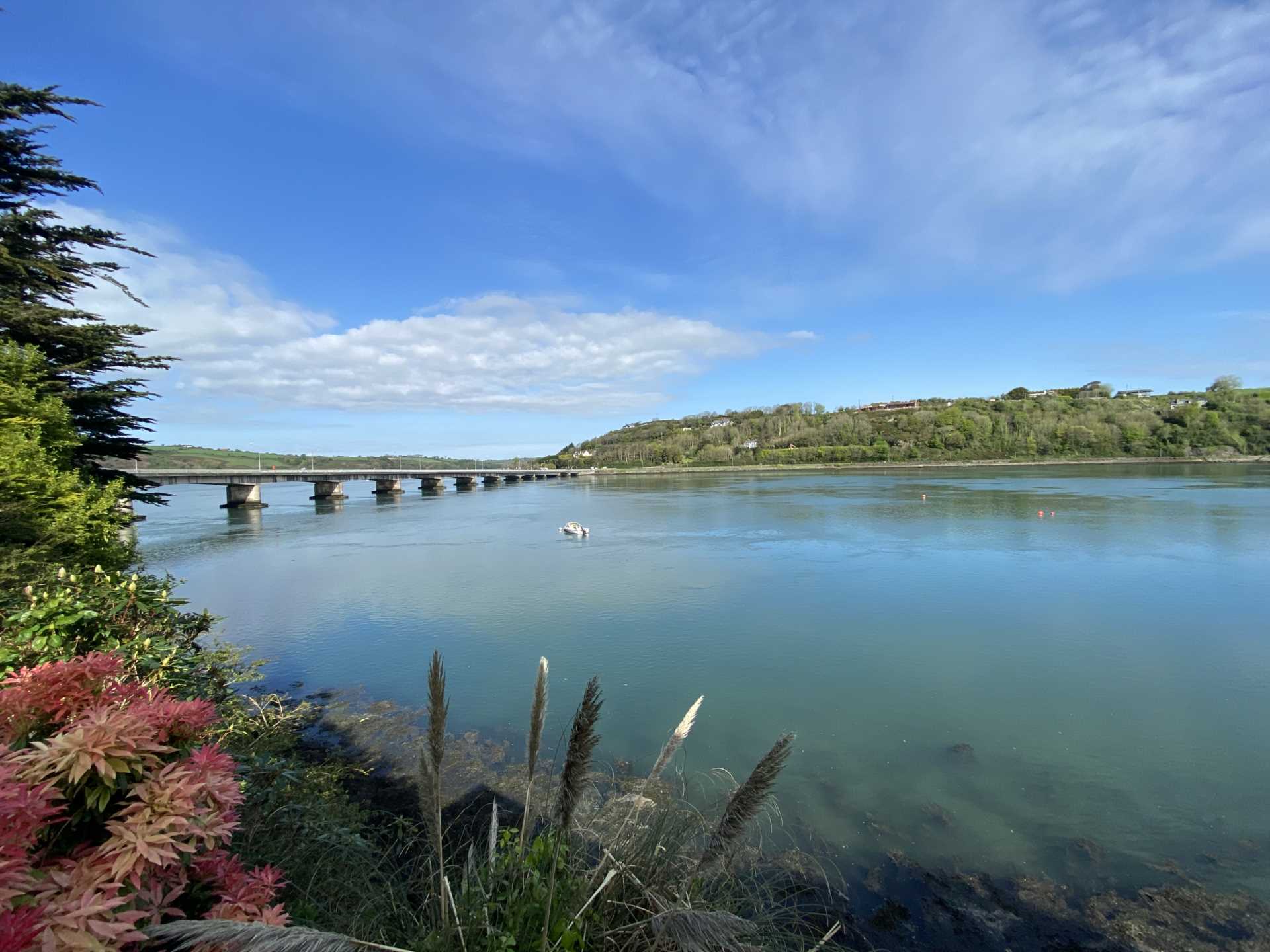 Cois Cuan, Castlepark, Kinsale, P17 CF83, Image 6