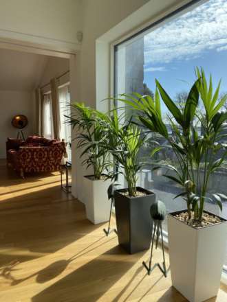 Rincurran Mews House, Ardbrack, Kinsale, P17 HN34, Image 5