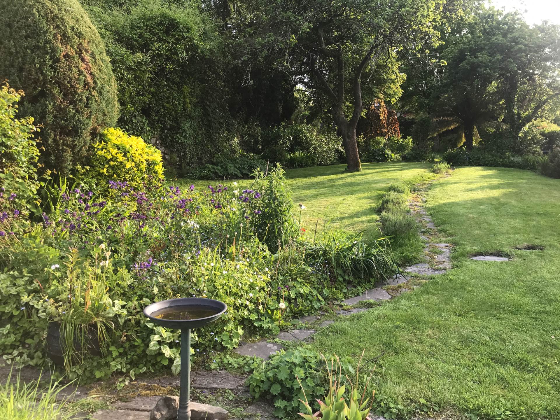 2 Higher O'Connell St, Kinsale, Co Cork, P17 DH05, Image 15