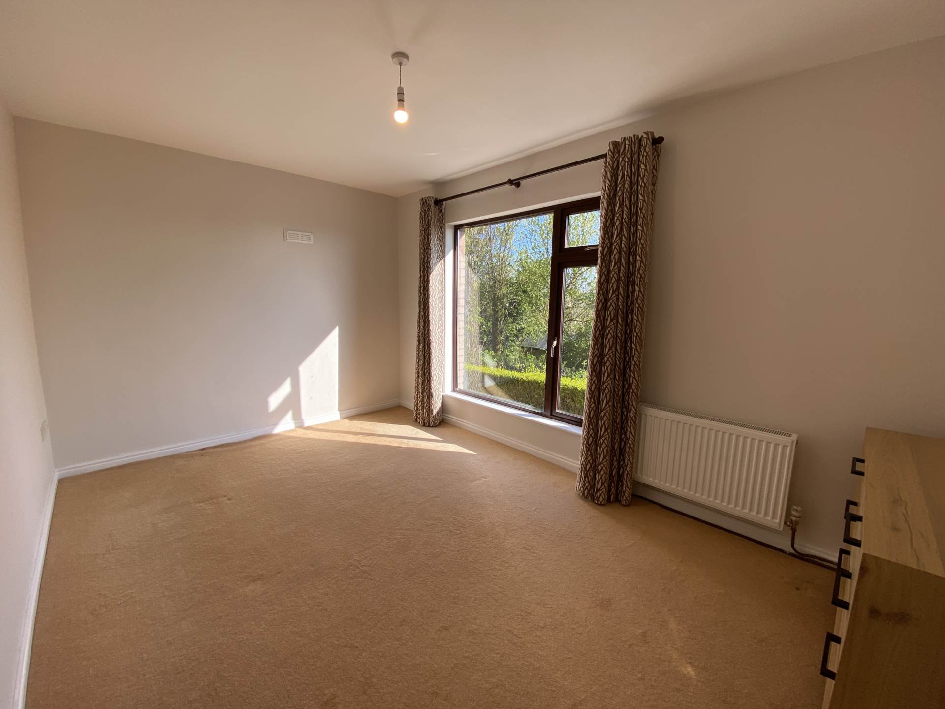 Golden Garden, Cappagh, Kinsale, Co Cork, P17 AW61, Image 17