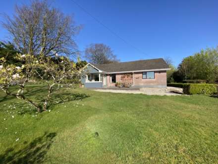 Golden Garden, Cappagh, Kinsale, Co Cork, P17 AW61, Image 24
