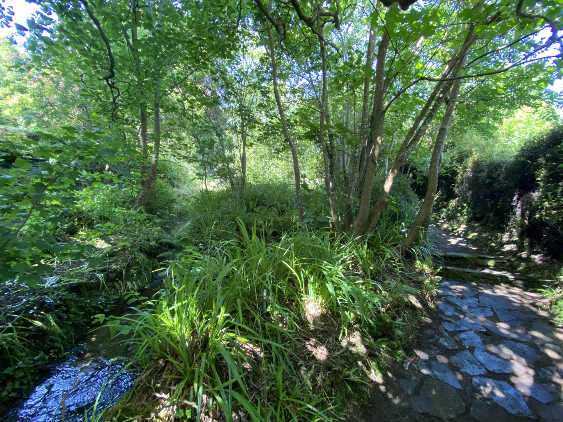 Teach na Geal, Summercove, Kinsale, P17 KD45, Image 18